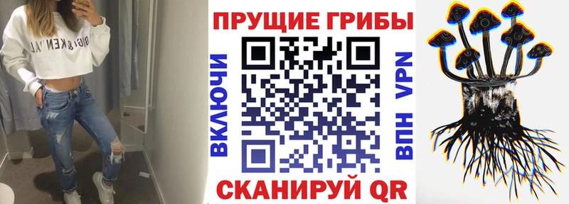 Псилоцибиновые грибы прущие грибы  Купить  Сим 