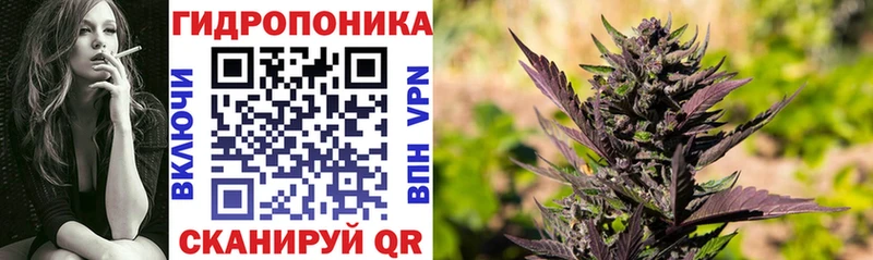 Бошки Шишки White Widow  Купить  Сим 